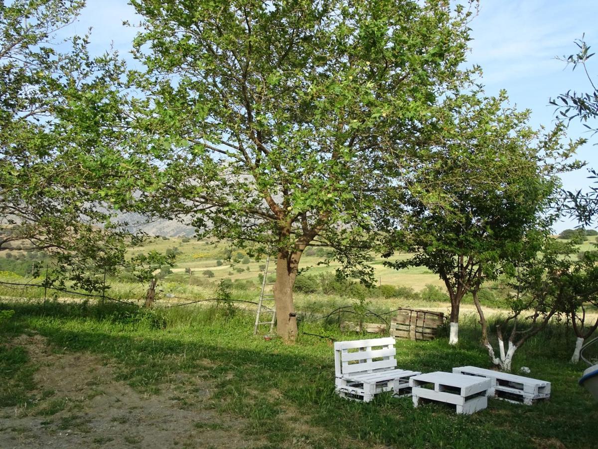 Melenios Houses Samothráki Zewnętrze zdjęcie